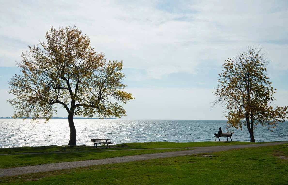 Etobicoke waterfront park photograph with trees and Lake Ontario